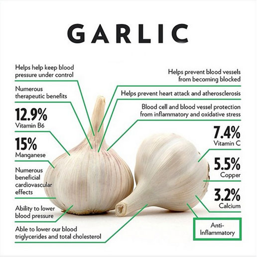Garlic Protocol