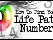 Determine your Life Path number