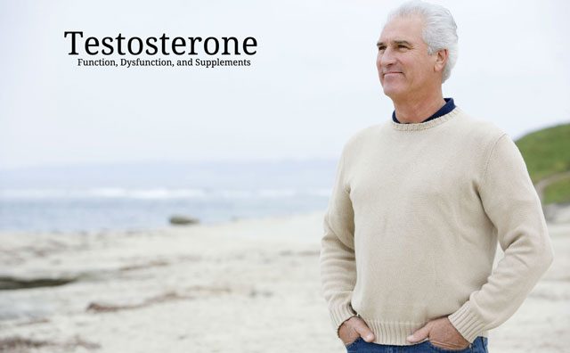 Testosterone: Function, Dysfunction, and Supplements