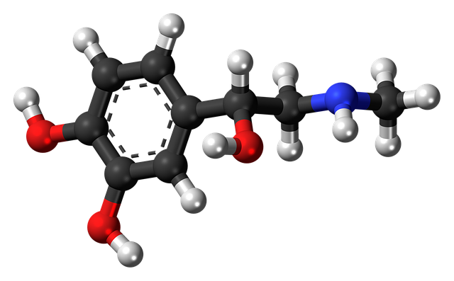 3 Important Hormones That Greatly Influence Weight Loss