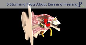 5 Stunning Facts About Ears and Hearing
