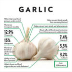 Garlic Protocol