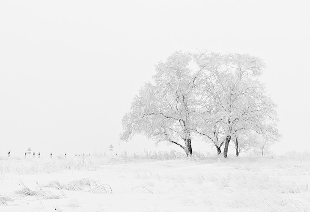 rainy-day-activities-in-winter-park-visit-winter-park