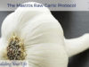 The Mastitis Raw Garlic Protocol
