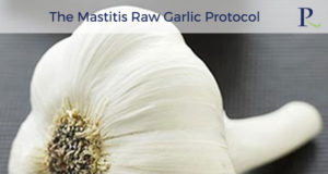 The Mastitis Raw Garlic Protocol