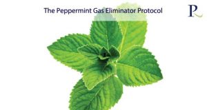 The Peppermint Gas Eliminator Protocol