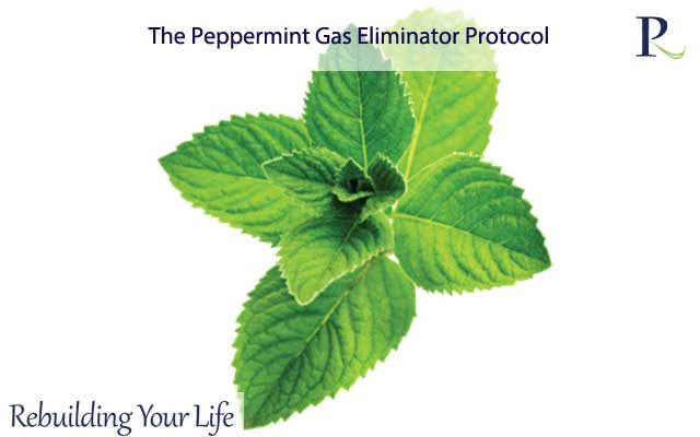 The Peppermint Gas Eliminator Protocol