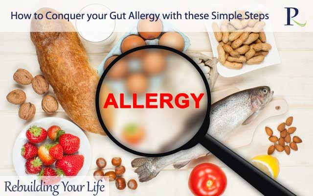 How to Conquer your Gut Allergy with these Simple Steps