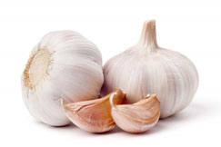 garlic