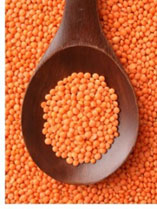 Lentil Foods against hair loss