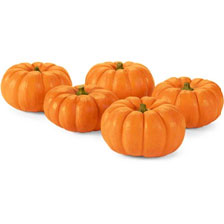 Pumpkin Foods against hair loss